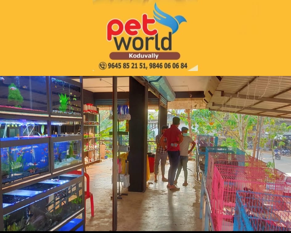 PET WORLD KODUVALLY