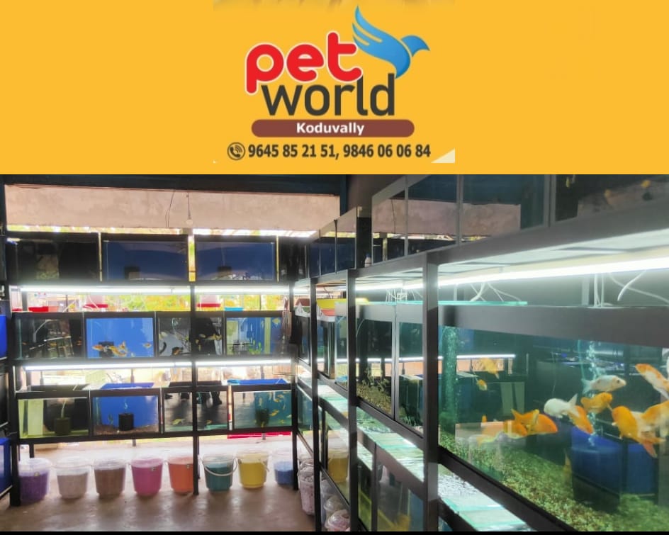 PET WORLD KODUVALLY
